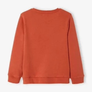 vente à bas prix Sweat Motif Maroc Détails Pailletés Fille Orange Grisé – Vertbaudet 10